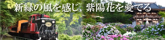 �������o�X �v���~�A���o�X�c�A�[ ���s���̃o�X�c�A�[ �V�΂̍����g���b�R��ԂƔ��R����Ԃ��̗��A�O�g�́u�����������v�؊ω���