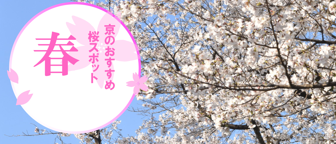 �������o�X ���s����ό��o�X ���̂������ߍ��X�|�b�g