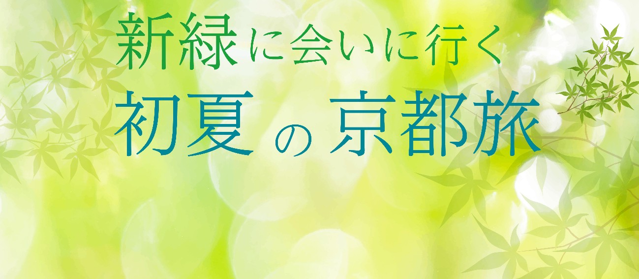 �������o�X ���s����ό��o�X �V�΂ɉ�ɍs�����Ă̋��s��