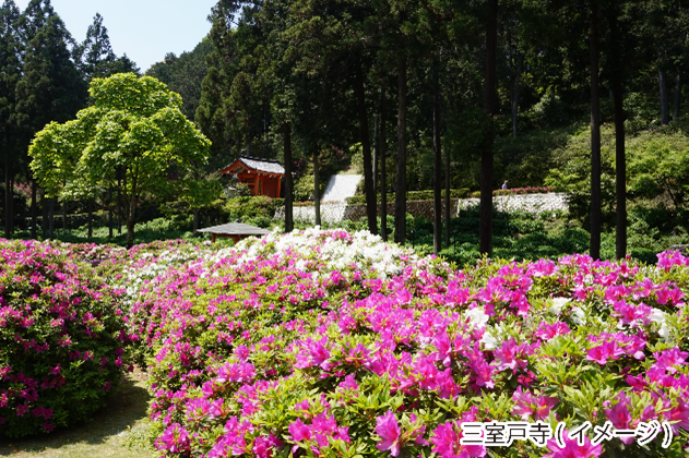 ���s����ό��o�X �������o�X D2�R�[�X ���E��Y �����E��펛�E�����@(�F���U��)�ƁA�Ԃ̖��� �O���ˎ�