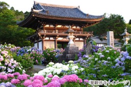 ���s�w�� �v���~�A���o�X�c�A�[ MM�R�[�X �V�΂̍����g���b�R��ԂƖ����̗��R�@���R����Ԃ��̗��A�O�g�́u�����������v�؊ω���