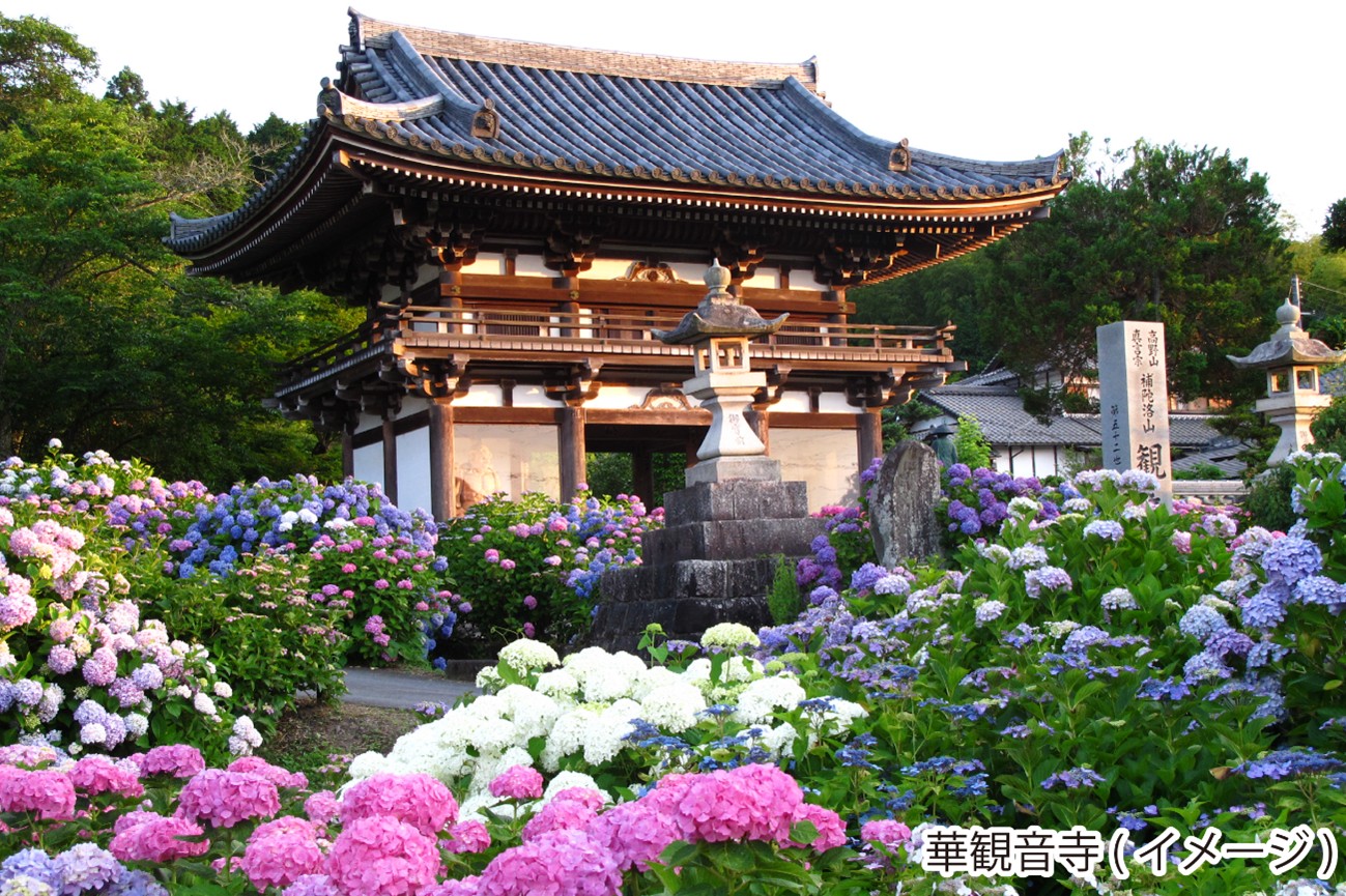 ���s�w�� �v���~�A���o�X�c�A�[ MM�R�[�X �V�΂̍����g���b�R��ԂƖ����̗��R�@���R����Ԃ��̗��A�O�g�́u�����������v�؊ω���