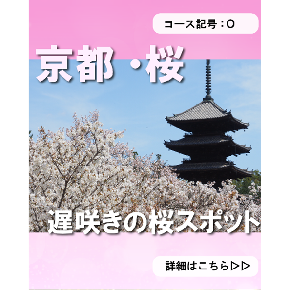 Instagram ���s���@�v���~�A���o�X�c�A�[ �O�R�[�X �m�a���u�䎺���v�Ƌ��̒x�炫���߂���