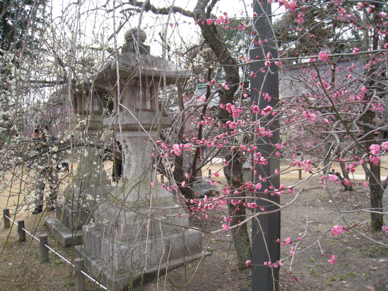 北野天満宮境内