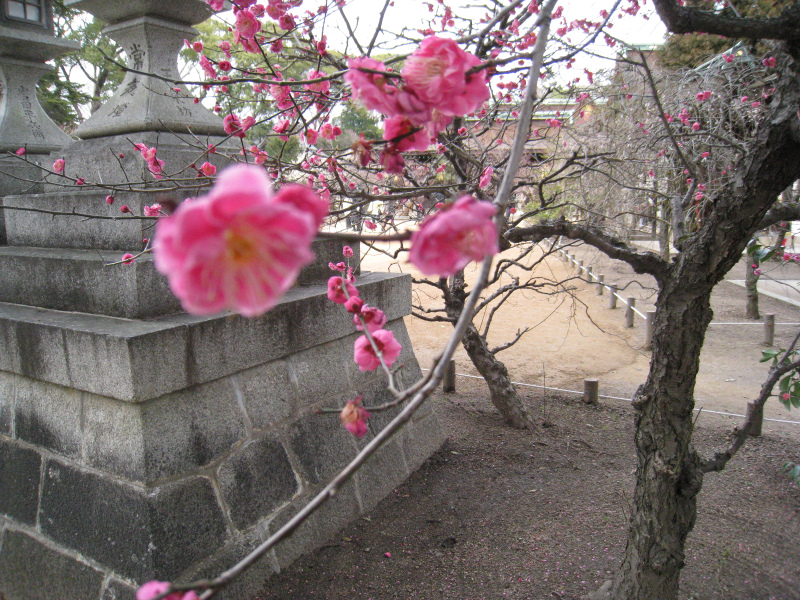 北野天満宮境内